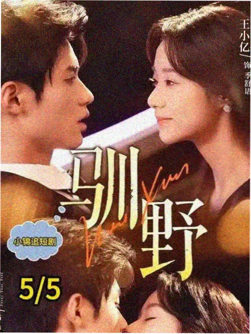 永夜星河 古装甜宠剧